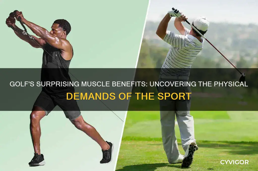 does golf work any muscles