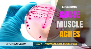 Gonorrhea and Muscle Aches: What's the Connection?