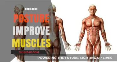 Good Posture: Enhancing Muscle Strength, Flexibility, and Overall Fitness