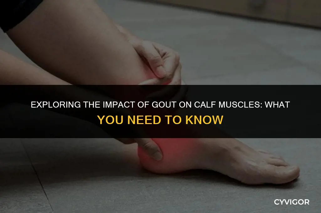 does gout affect calf muscles