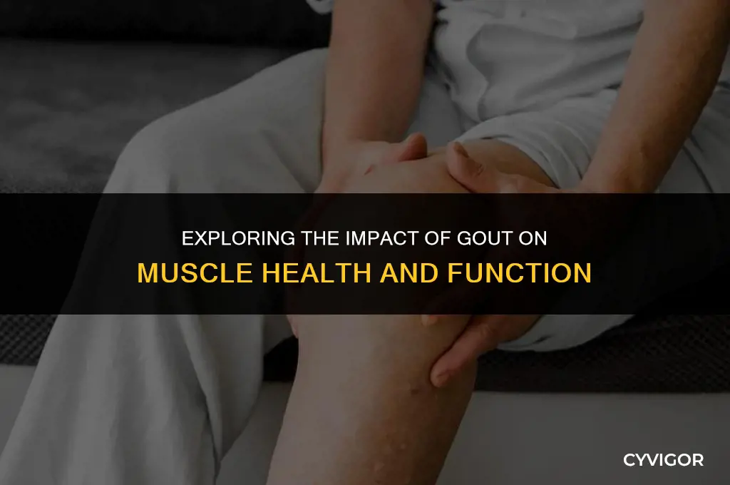 does gout affect muscles