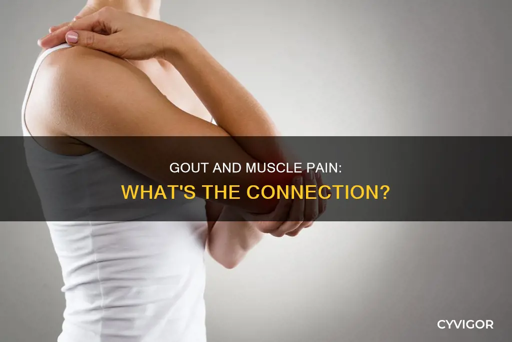 does gout cause muscle pain