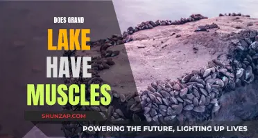 Grand Lake's Muscles: What's the Deal?