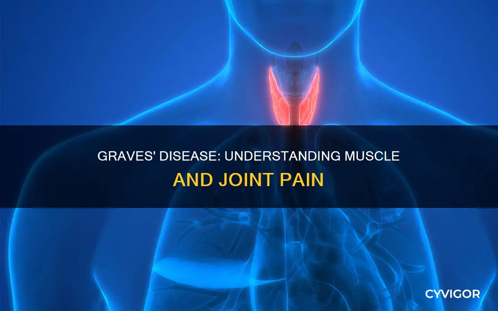 does graves disease cause muscle and joint pain