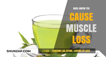 Green Tea and Muscle Loss: What's the Truth?