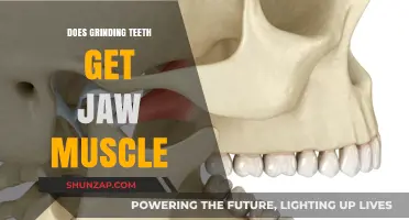 Bruxism and Jaw Strength: Exploring the Connection Between Teeth Grinding and Muscular Development
