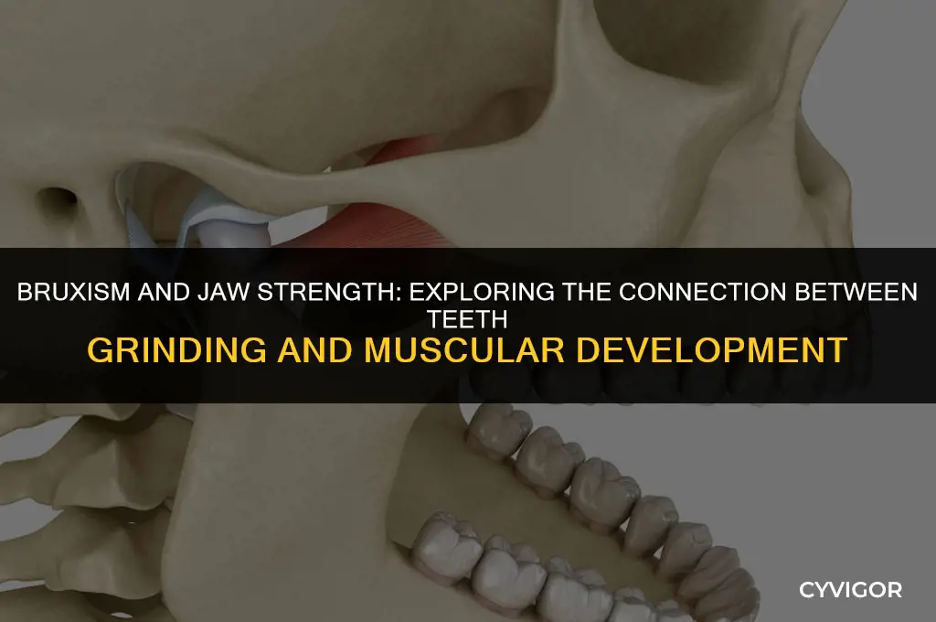 does grinding teeth get jaw muscle