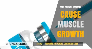 Growth Hormone and Muscle Growth: What's the Link?