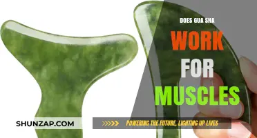 Gua Sha for Muscle Recovery: Effective Technique or Just a Trend?