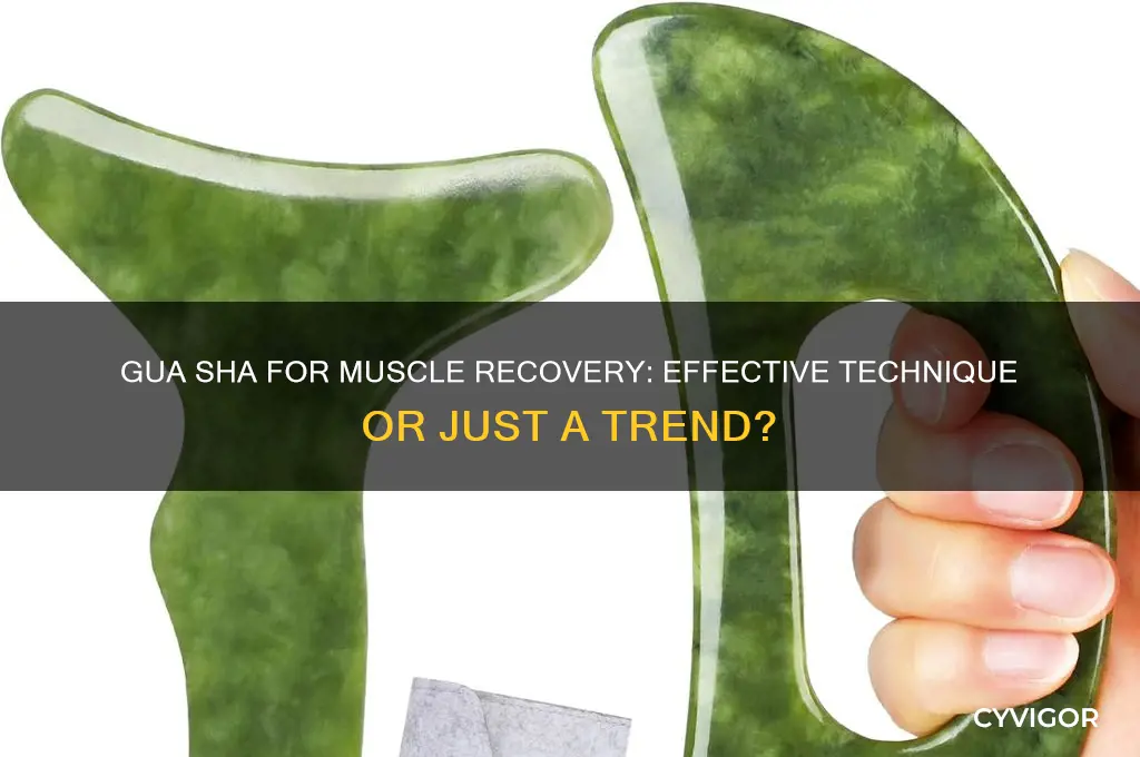 does gua sha work for muscles