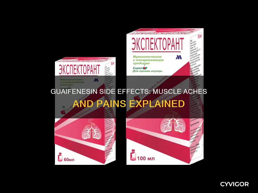 does guaifensin cause muscle aches