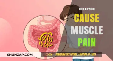 H. Pylori: Muscle Pain and Other Symptoms