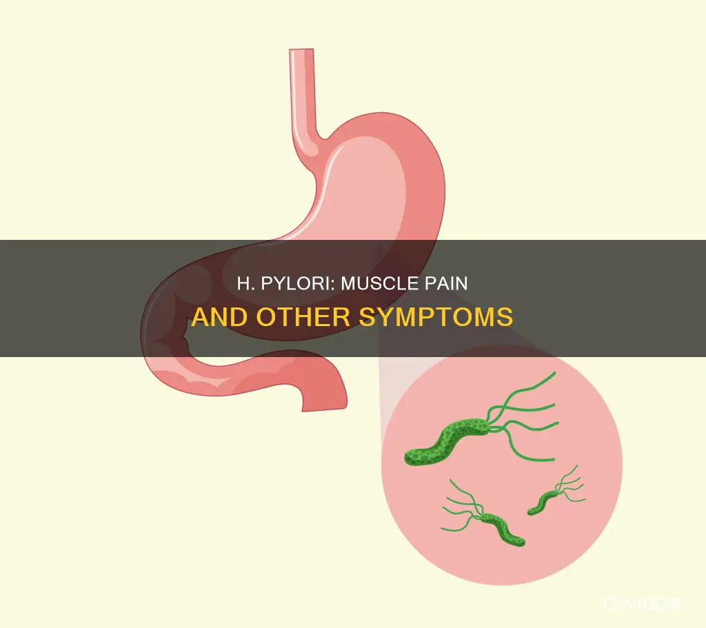 does h pylori cause muscle pain