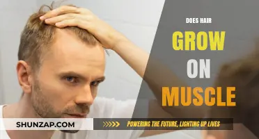 Does Hair Grow on Muscle? Unraveling the Science Behind It