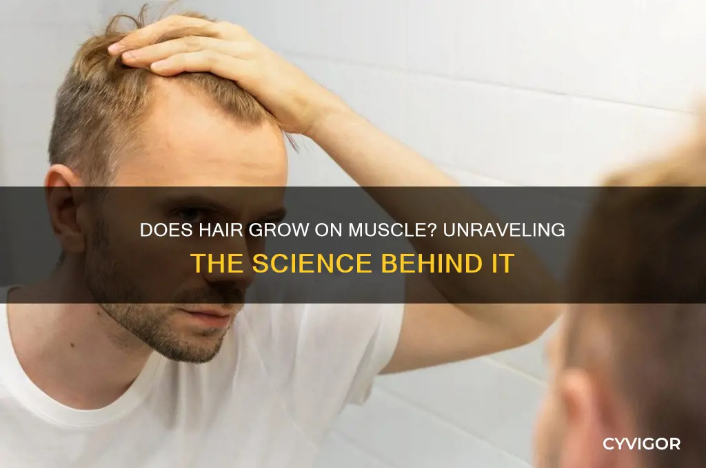 does hair grow on muscle