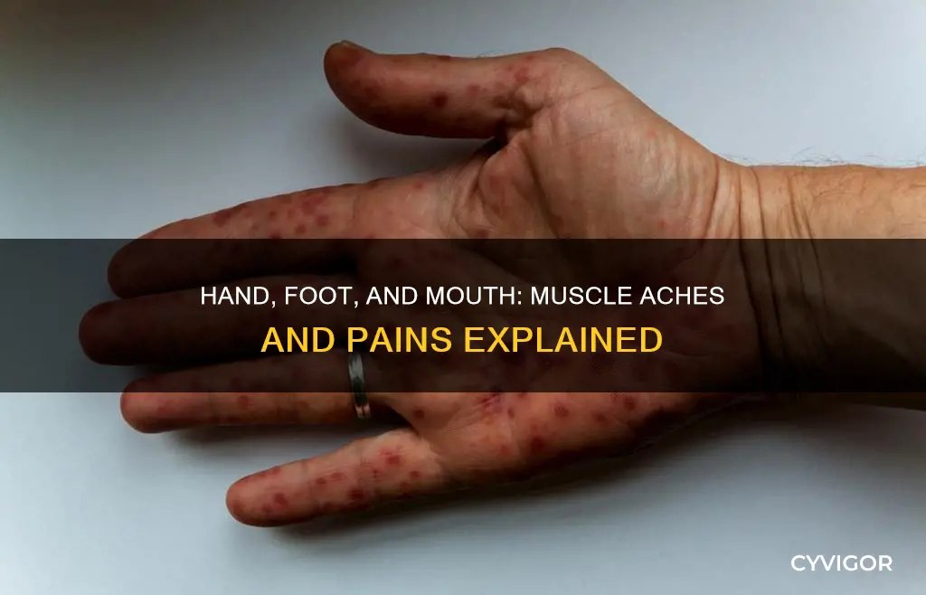 does hand foot and mouth cause muscle aches