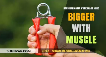Can Hand Grip Workouts Increase Hand Muscle Size Effectively?