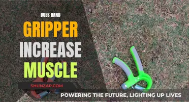 Hand Grippers: Effective Muscle Builders or Just a Gimmick?
