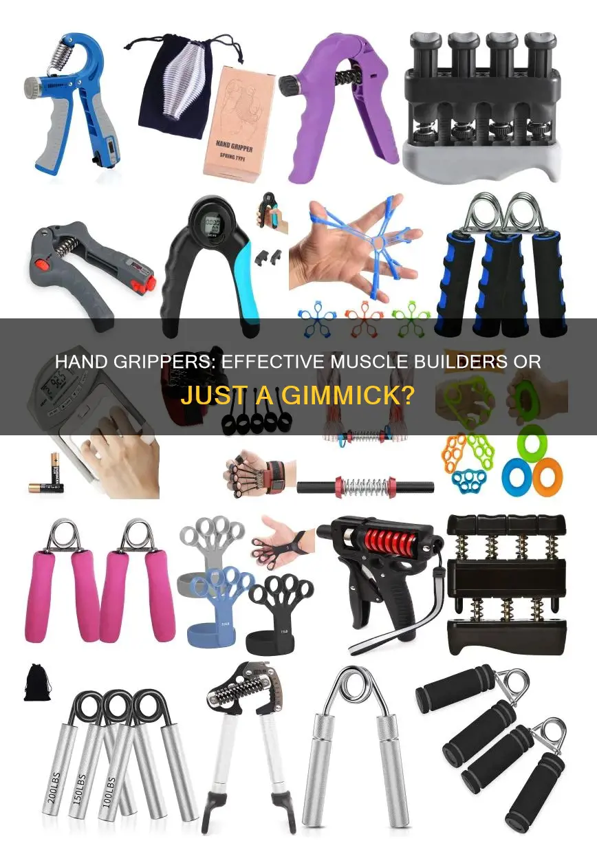 does hand gripper increase muscle