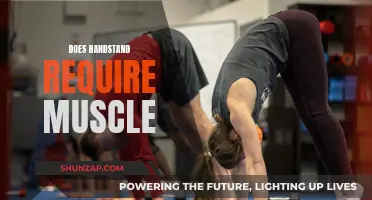 Handstands: Pure Skill or Muscle Power?