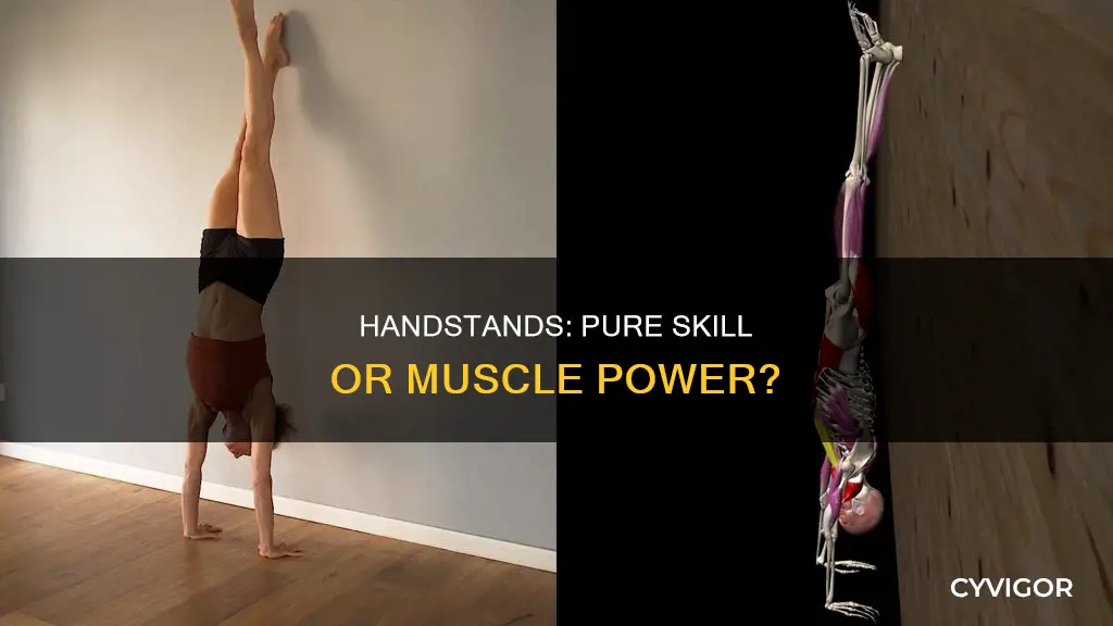 does handstand require muscle