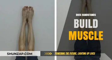 Handstands: The Ultimate Muscle-Building Exercise You Need to Try