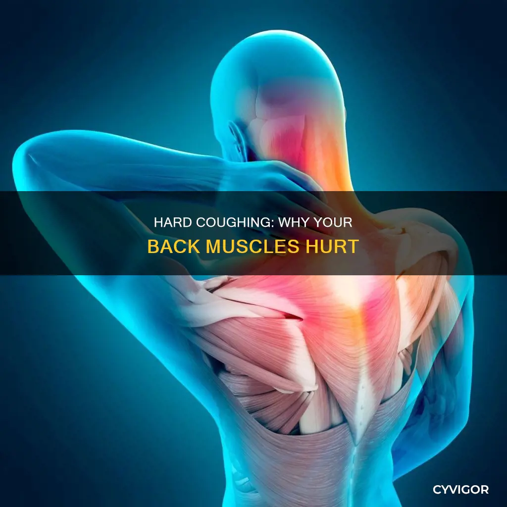 does hard cuoghing cause back muscles to hurt