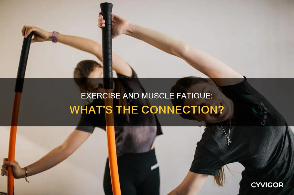 does hard exercise cause muscle fatigue