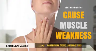 Hashimoto's and Muscle Weakness: Is There a Link?