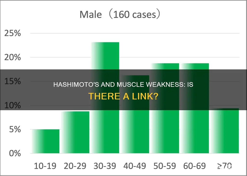 does hashimoto