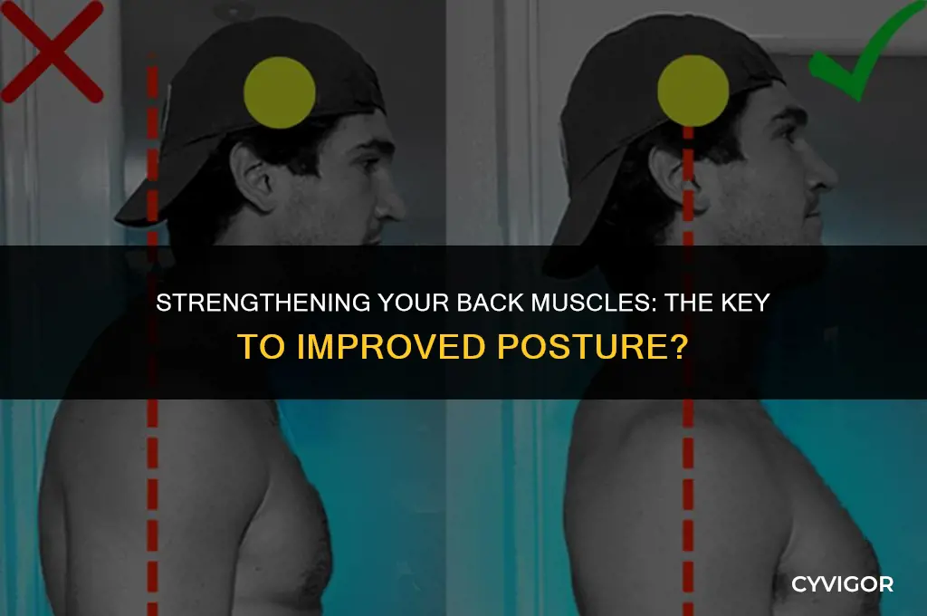 does having better back muscles make your posture better