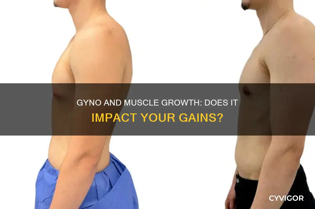 does having gyno mean you can gain muscle faster