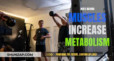 Muscle Mass and Metabolism: What's the Real Link?