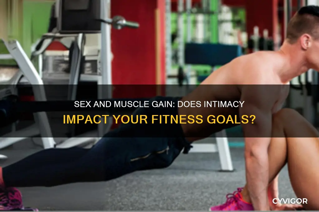 does having sex affect muscle gain