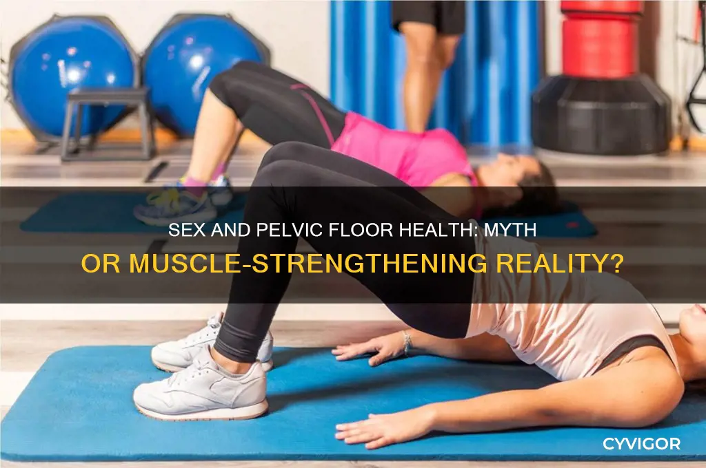 does having sex work out pelvic floor muscles