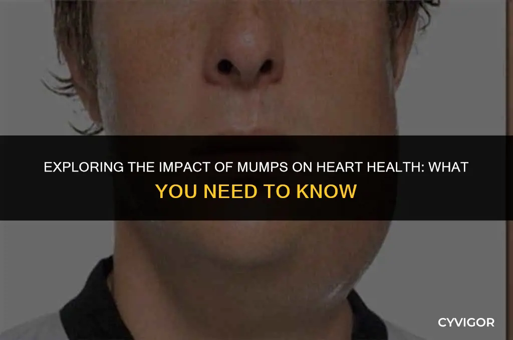 does having the mumps affect heart muscle