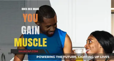 HCG and Muscle Gain: Separating Fact from Fiction in Fitness