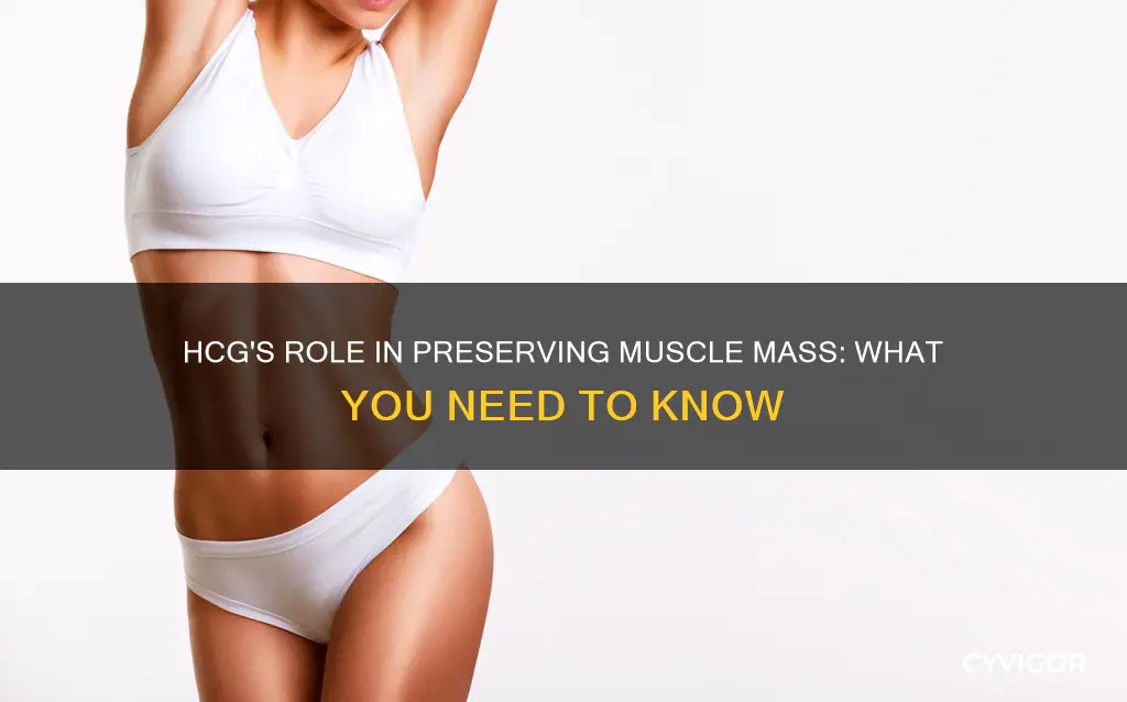 does hcg prevent muscle loss