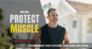 HCG's Muscle-Protecting Powers: Fact or Fiction?