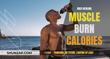 Healing Muscles: Burning Calories and Gaining Strength