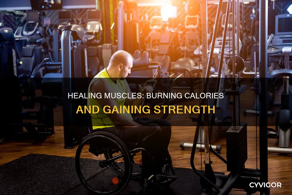 does healing muscle burn calories
