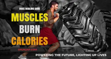 Healing Sore Muscles: Does Recovery Boost Calorie Burn?