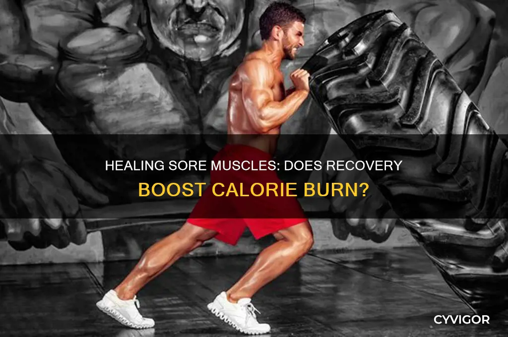 does healing sore muscles burn calories