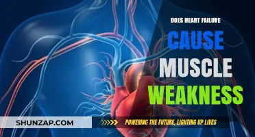 Heart Failure: Muscle Weakness and Fatigue