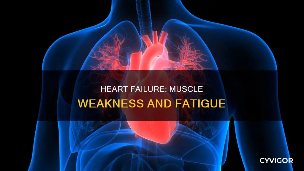 does heart failure cause muscle weakness