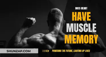 Heart's Muscle Memory: Fact or Fiction?