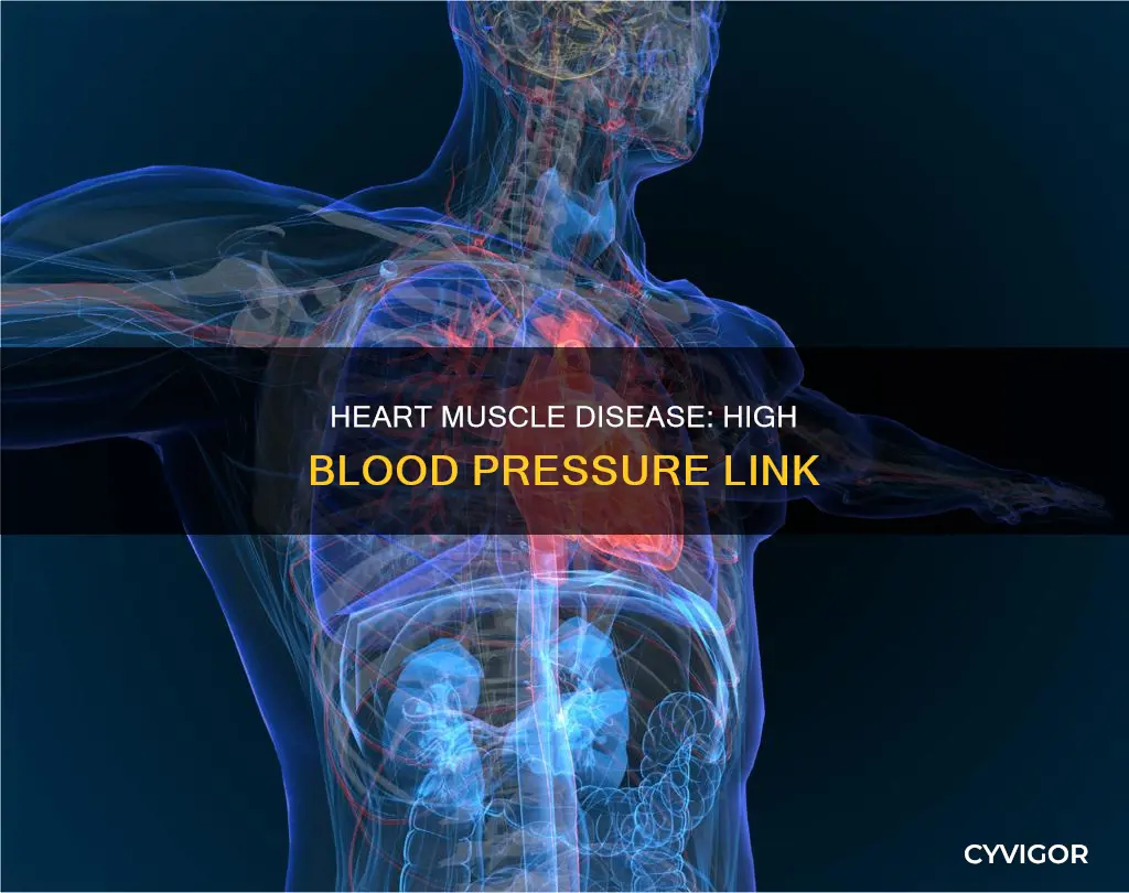 does heart muscle disease cause high blood pressure
