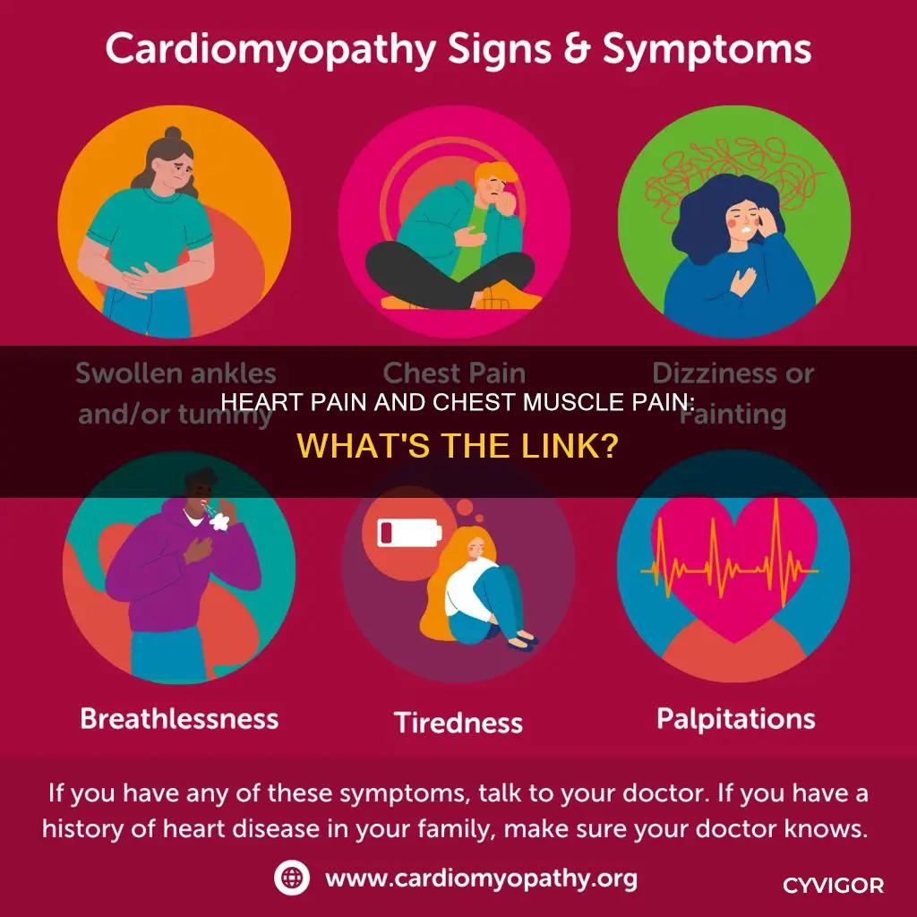 does heart pain cause chest muscle pain