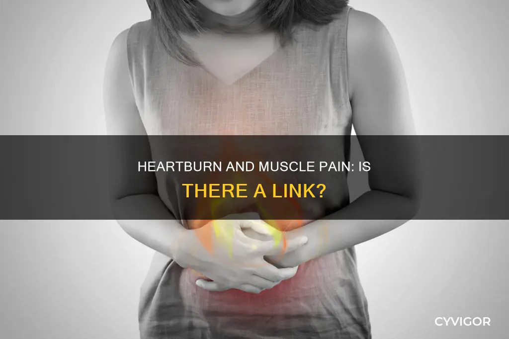 does heartburn cause muscle pain