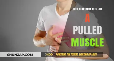 Heartburn vs. Pulled Muscle: Unraveling the Chest Discomfort Mystery